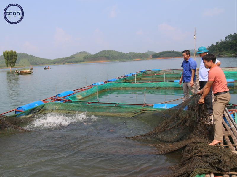 chứng nhận VIETGAP thủy sản