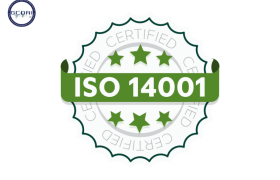 Đào Tạo ISO 14001: Nội Dung, Lợi Ích & Đối Tượng