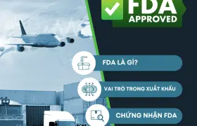 Tại sao doanh nghiệp cần biết về FDA trong xuất nhập khẩu?