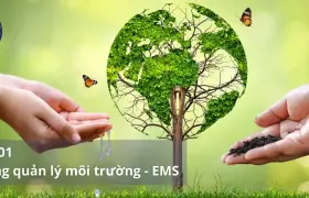 Cấp Chứng Nhận ISO 14001 Hệ thống quản lý môi trường (EMS)