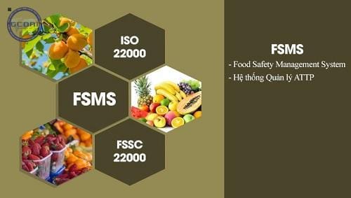 Cấp Chứng Nhận Iso 22000 Hệ Thống Quản Lý An Toàn Thực Phẩm (Fsms) - Chứng Nhận Iso 22000