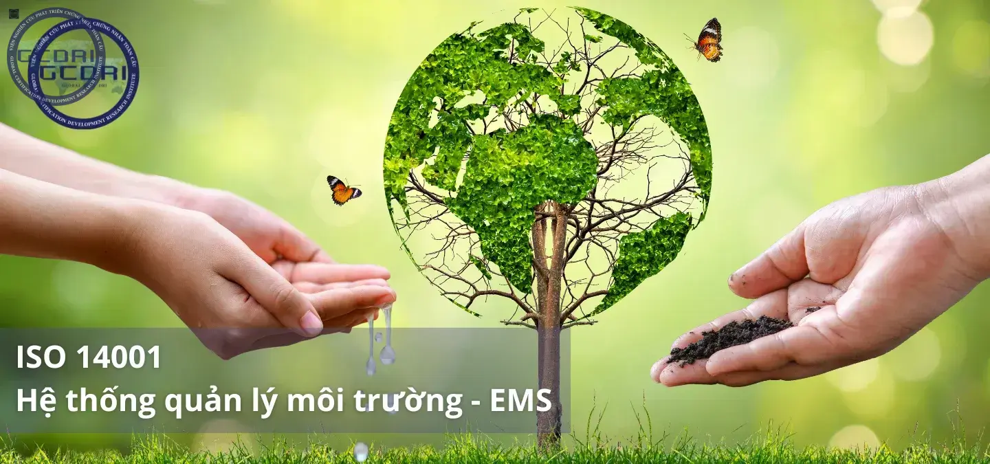 Cấp Chứng Nhận ISO 14001 Hệ thống quản lý môi trường (EMS)