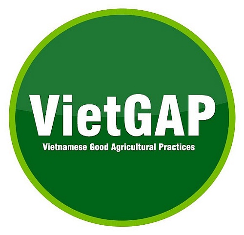 Tiêu Chuẩn Vietgap